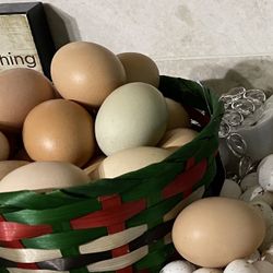 Fresh Organic Eggs