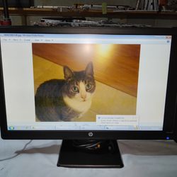 HP LV2311 23" HD MONITOR WITH TILT STAND 