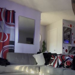 Gray Sectional Couch