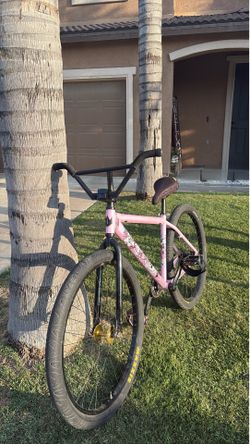Pink chad