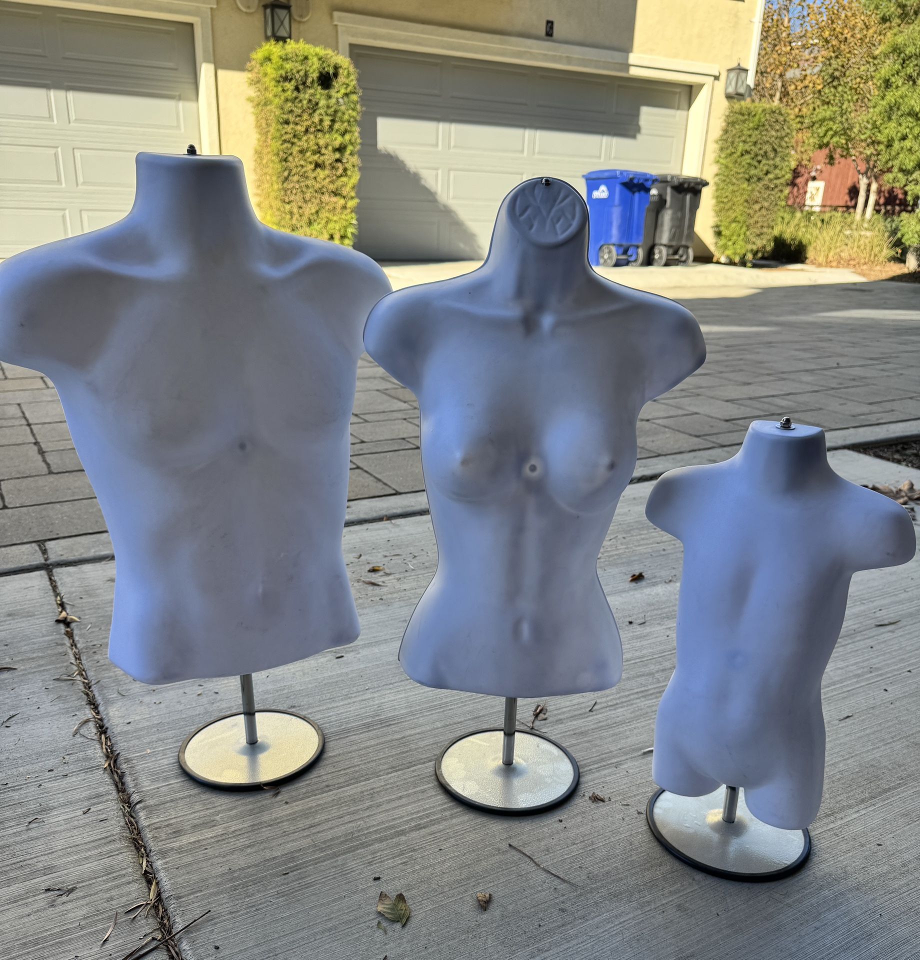 Mannequin Torsos 