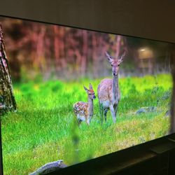 Sony Bravia XR 85" 4K TV + Samsung Soundbar Bundle (WITH FREE TV STAND)