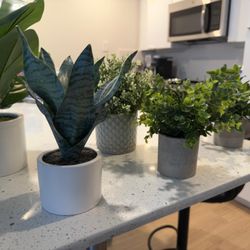 Artificial Plants