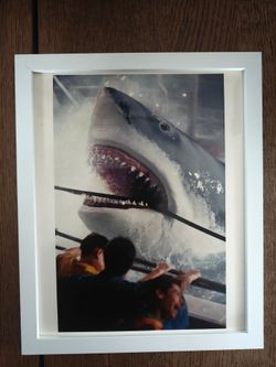 Universal Studios - Jaws Picture w/ Frame