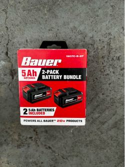 baur 20v 2-pack batteries
