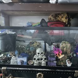 55 Gallon Fish Tank And More  (All Together not separating)