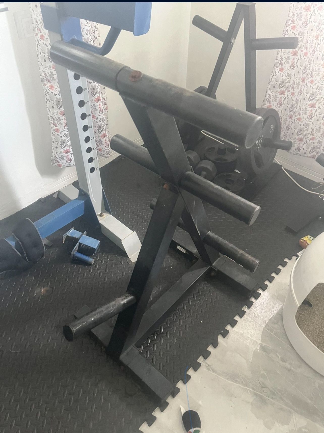 Olympic commercial weight rack weight tree