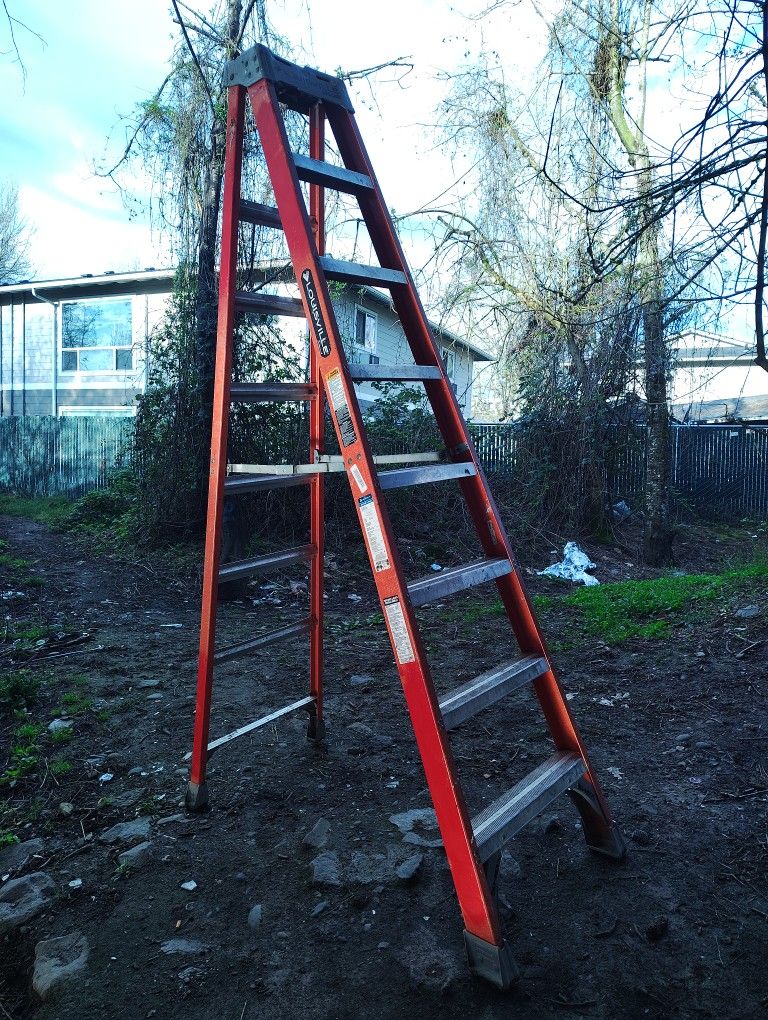 8 Foot Louisville Step Ladder
