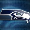 Seahawks Fan
