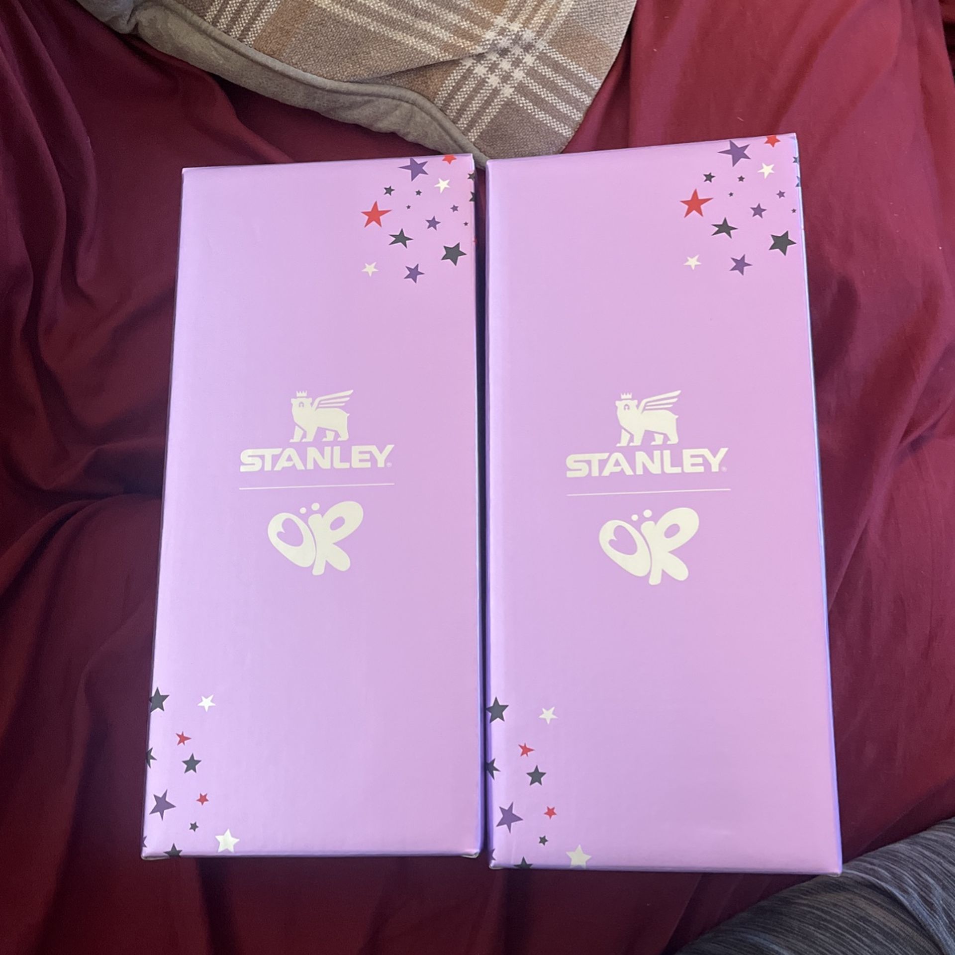 Olivia Rodrigo Stanley Cup