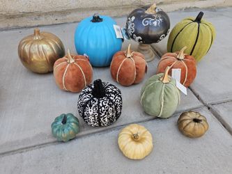 Thanksgiving Pumpkin Bundle All For 20