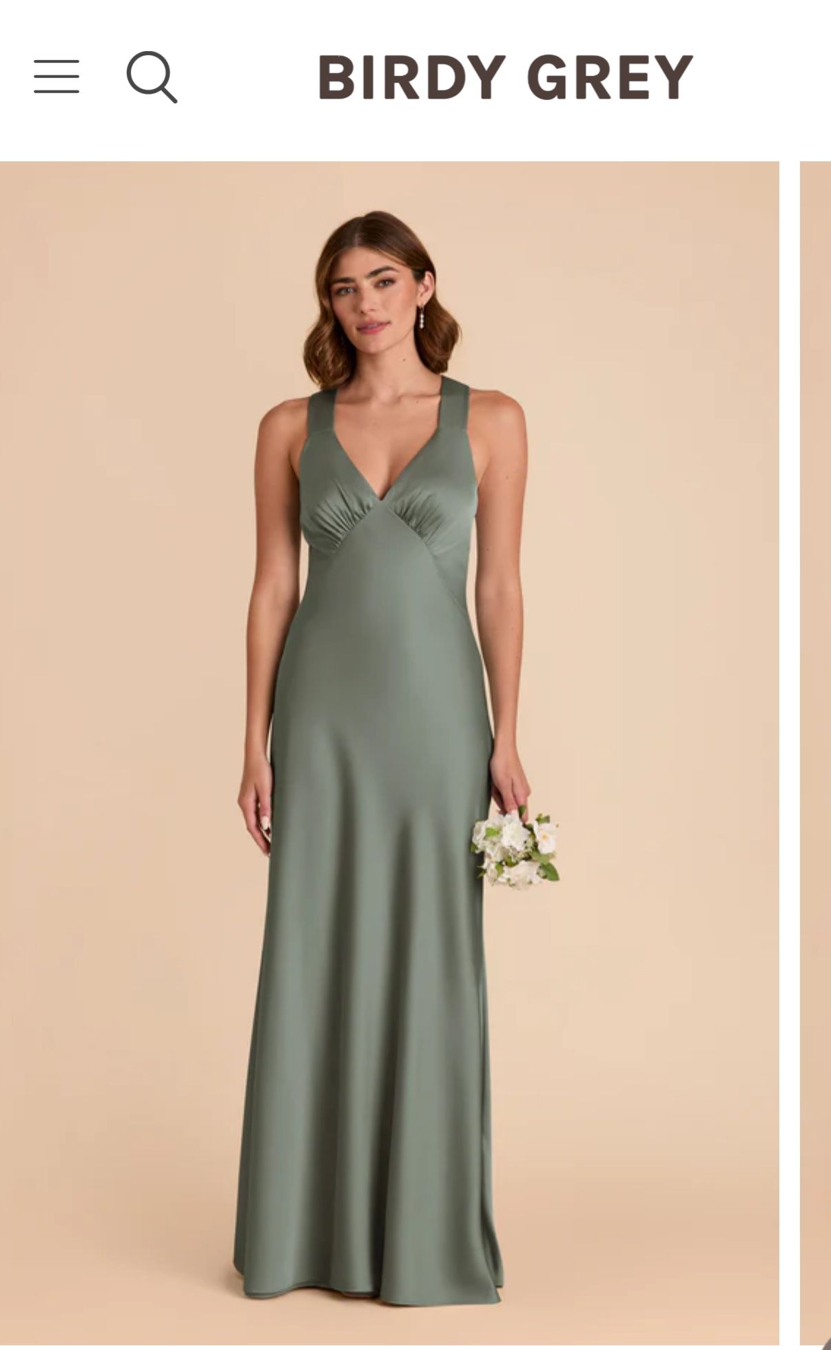 Birdy Grey Veronica Dress