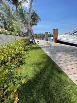 Artificial Grass