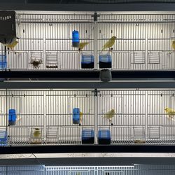 Waterslager Canary Bird Cage 