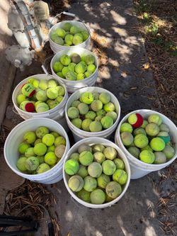 Tennis Balls