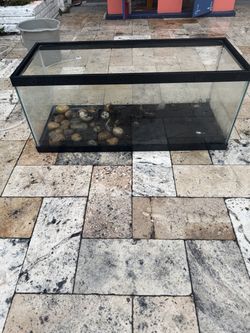 Glass Aquarium Tank with River Rocks - Black Trim