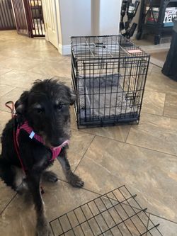 Metal Dog Crate With Bed and Divider(smaller)