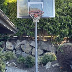 Adjustable Basketball Hoop Free
