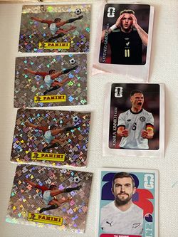 Panini