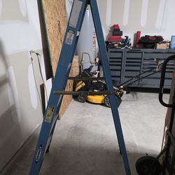 Warner 6' Tall Ladder