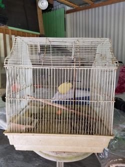 2 bird cages