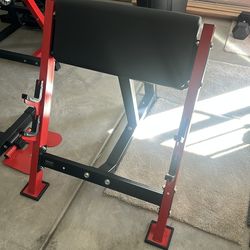 Preacher curl bench