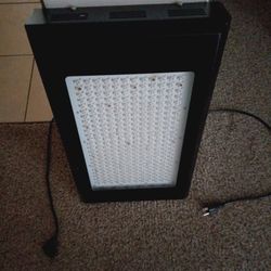 Powerful Grow Light 