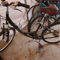 Specialized Mountain Bike 