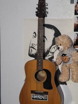 Beginner Acoustic Guitar