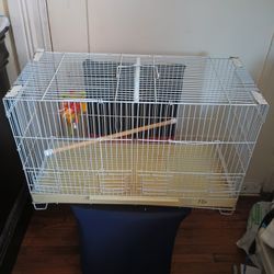 Bird Cage 