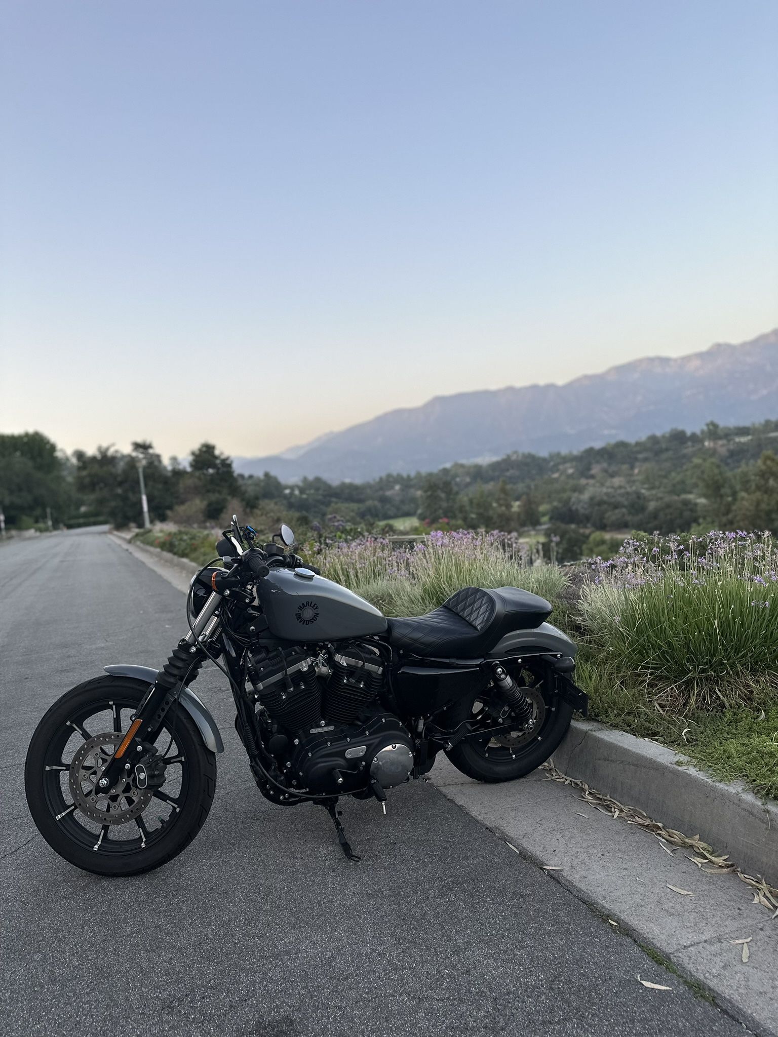 2022 Harley Davidson Iron 883 (Sportster)