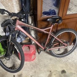 Mountain Bike 
