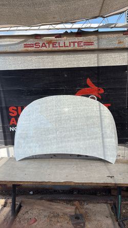 2020 Corolla Hood OEM 2026