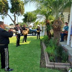 Violin Mariachi