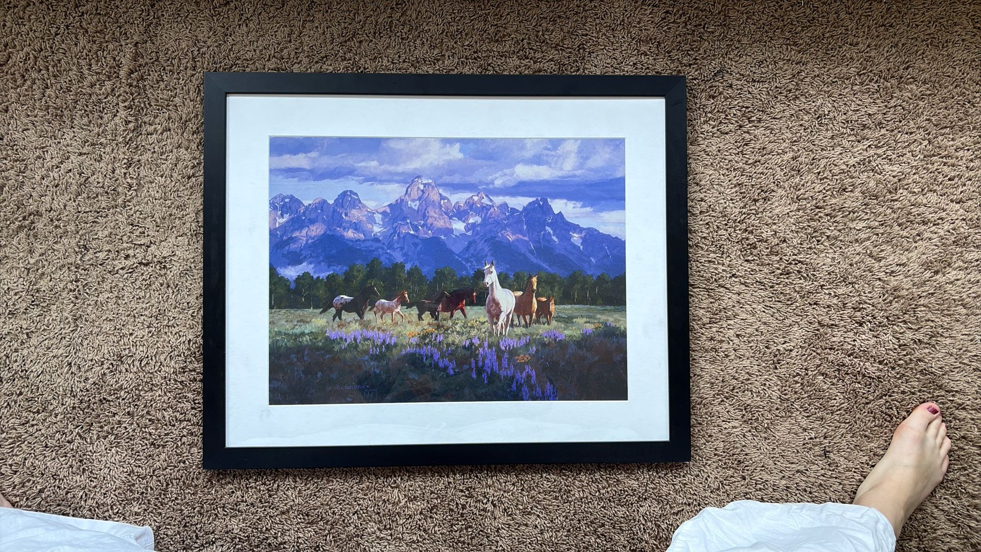 Horses in field