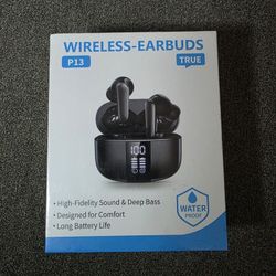 Wireless Earbuds, P13