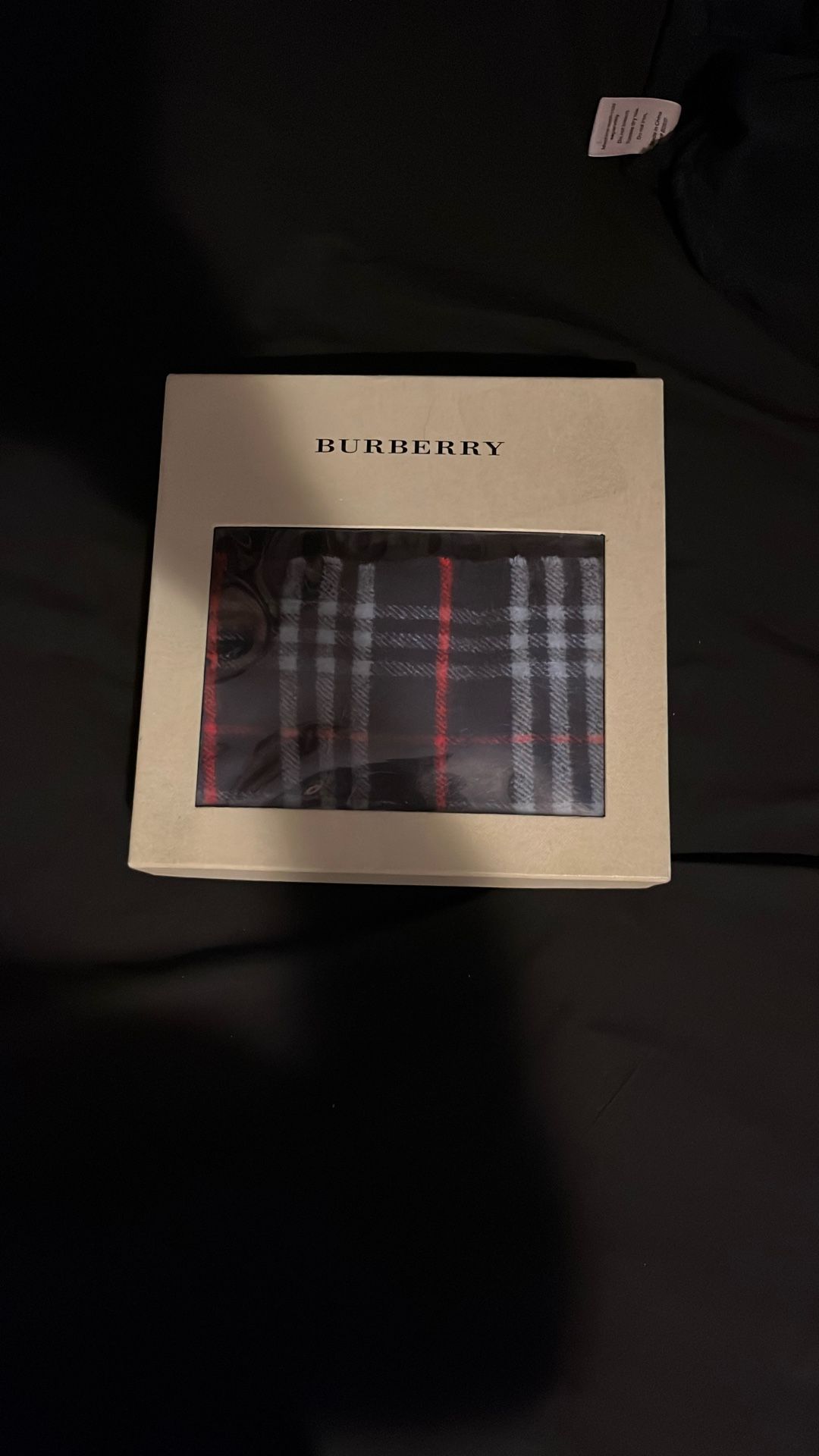 Burberry scarf
