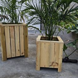 Plant Pots For Sale 