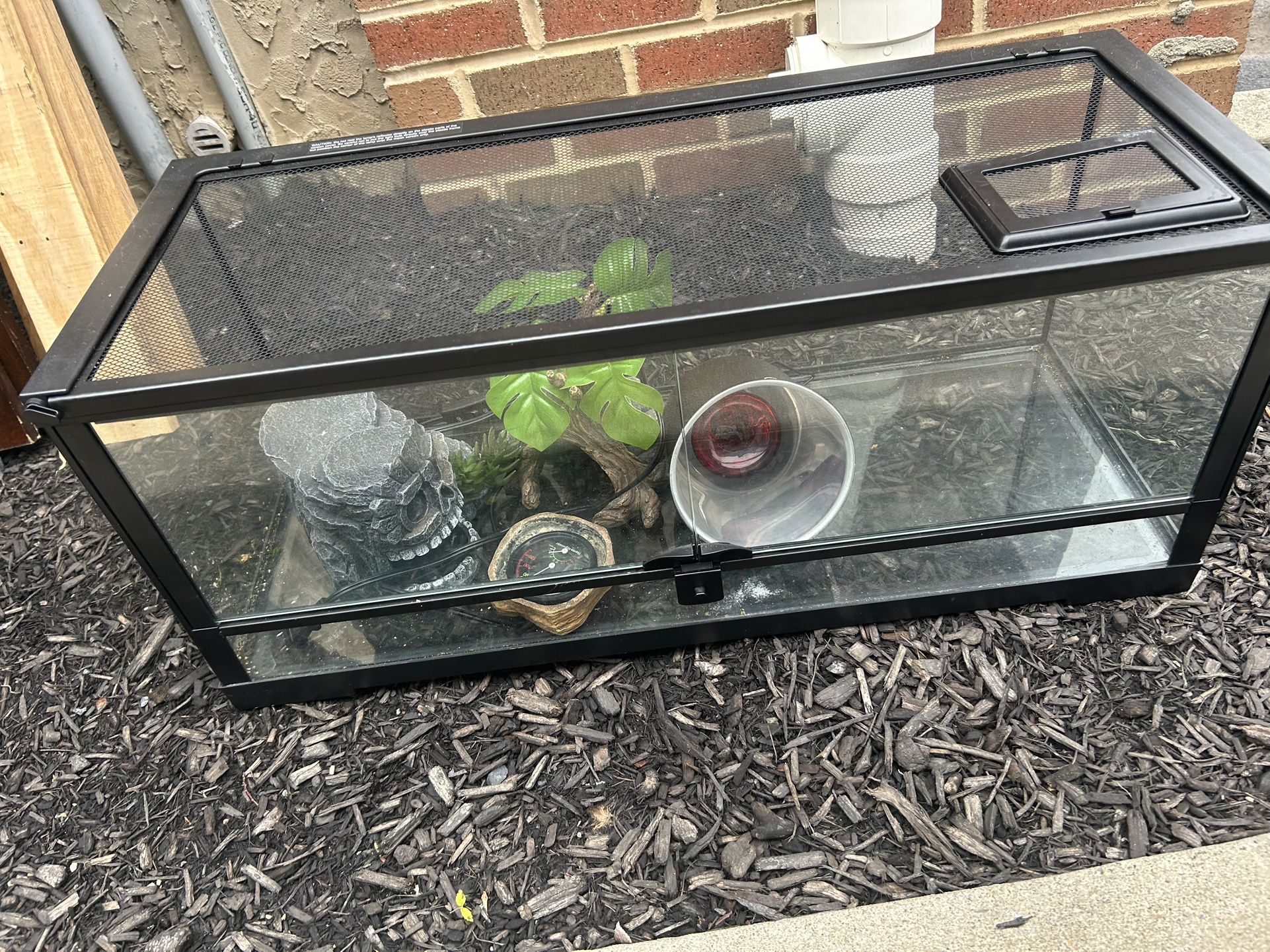 20 Gallon Reptile Tank With Accessories
