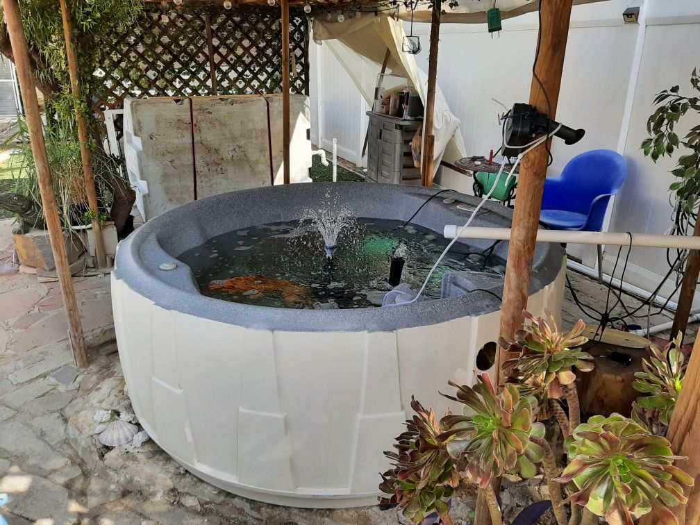 Repurposed 6 ft. Dia. Spa Now 300 Gal. Aquarium