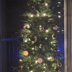  Christmas Tree 🌲 