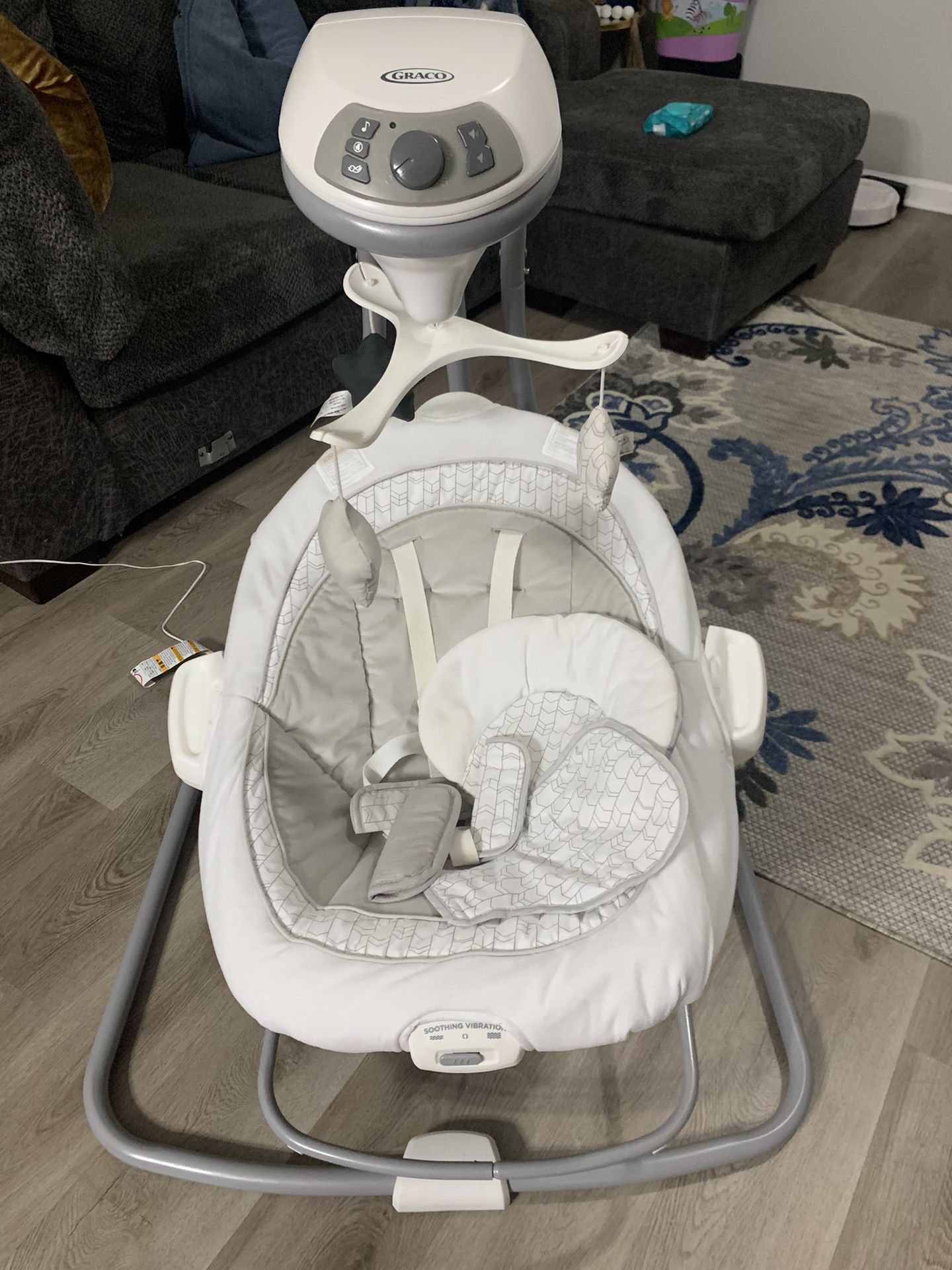 Graco Swing Set