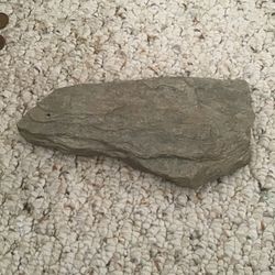 North Carolina State rock