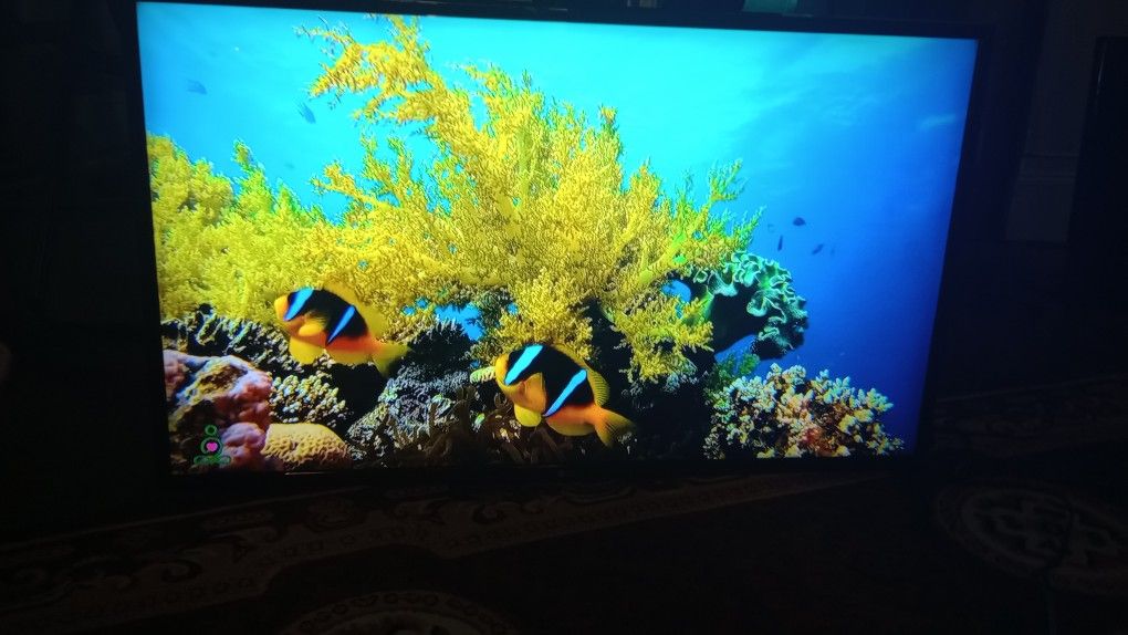 LG LED Smart 📺