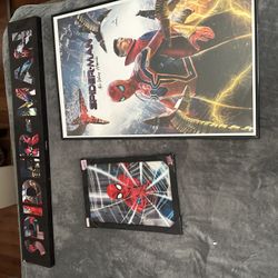 Spider-Man Room Decorations