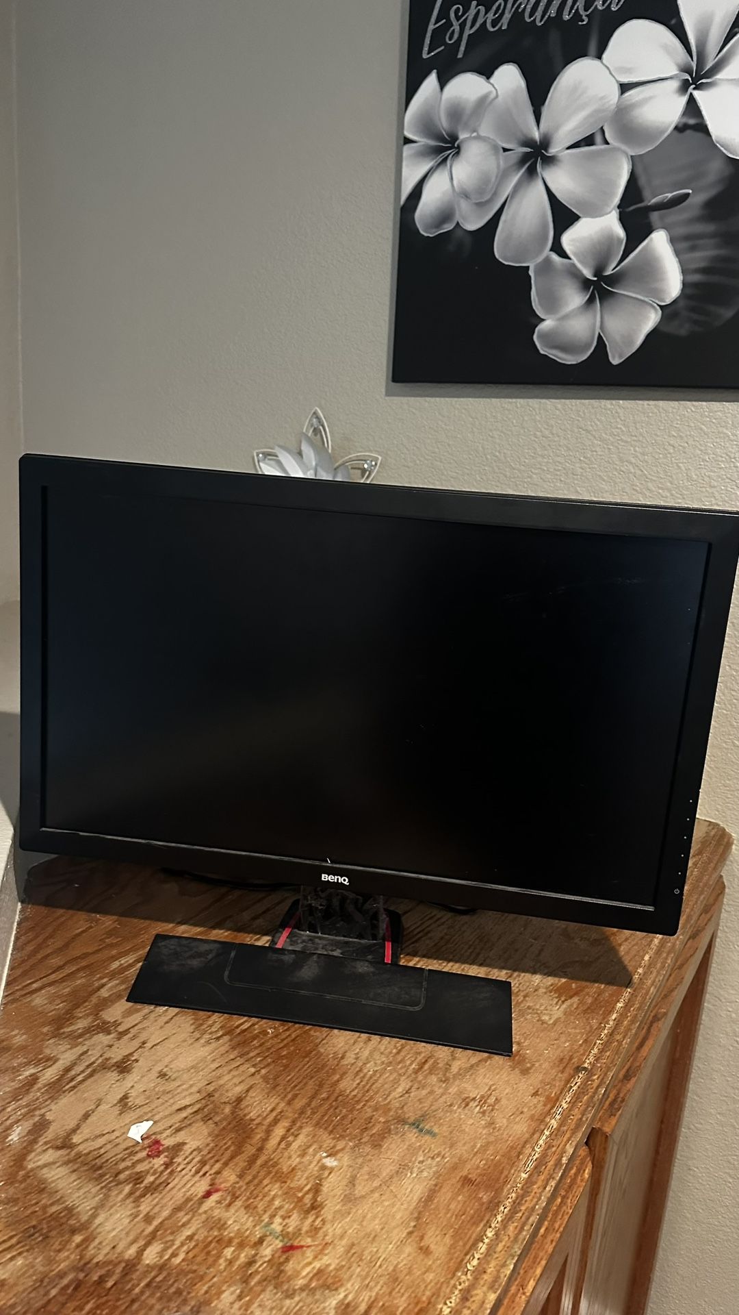 BenQ Monitor.