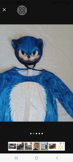 Sonic Costume 