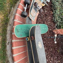 Skate Boards    Many Sizes.      10.00 Each.  Long Boards 25.00