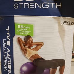 Weighted Stability Ball 1,000 Lb