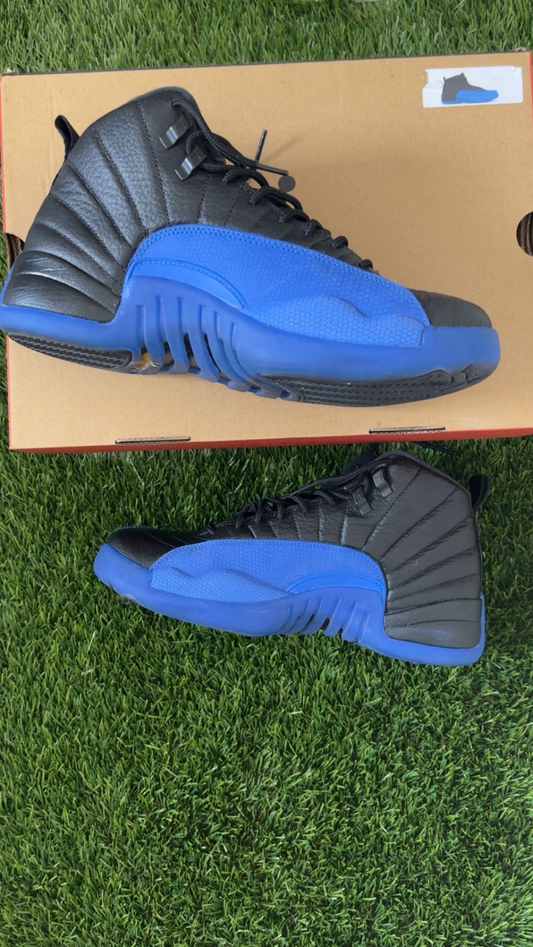 jordan 12